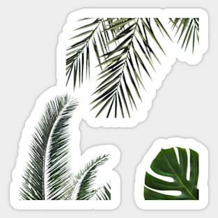 palm fronds STICKER PACK Sticker